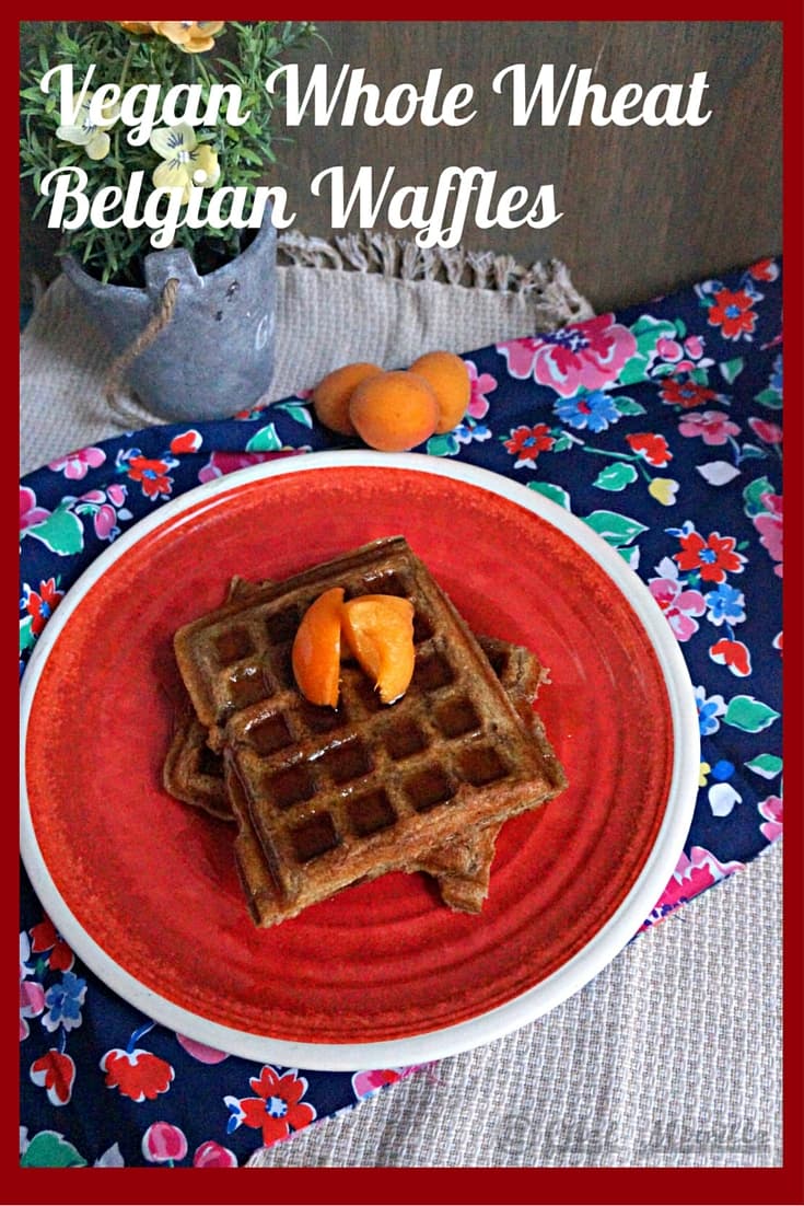 Vegan Cu Orez Integral Belgian Waffle