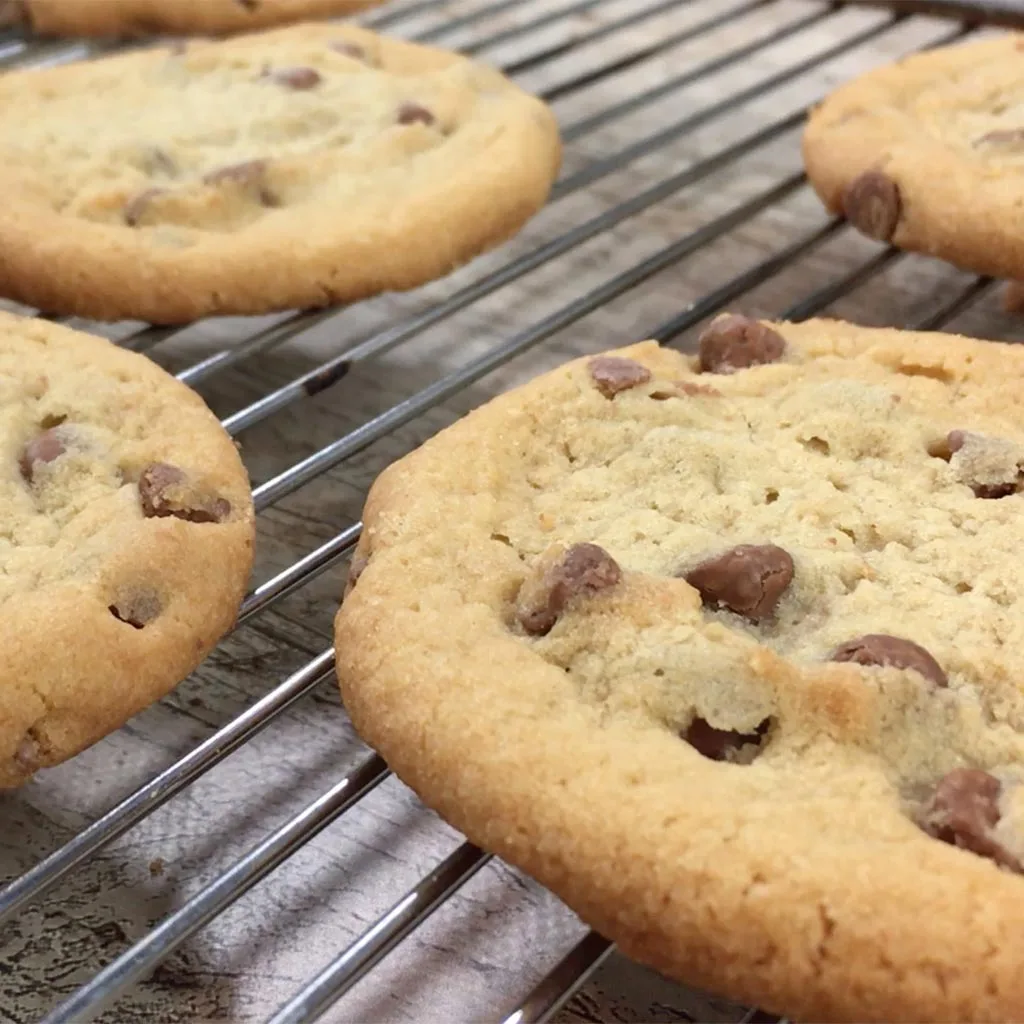 Prăjituri cu Ciocolată și Scunzi