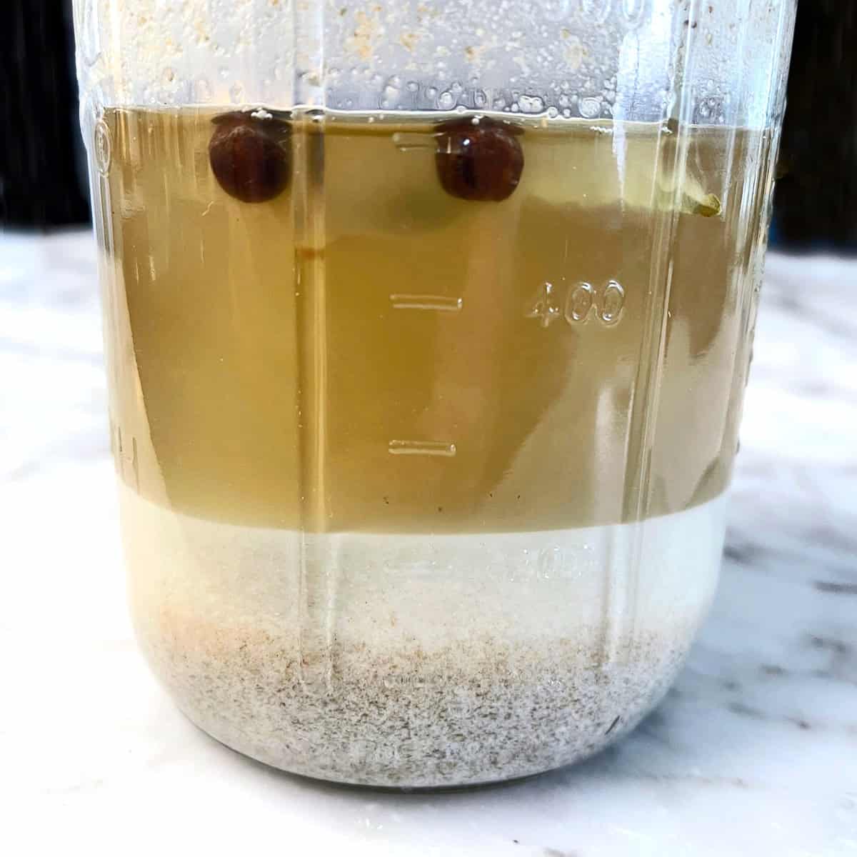 Zakwas na Żurek (Fierbinte de secară acru polonez)